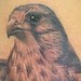Tattoos - Bird - 39137